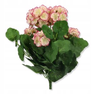Pelargonia sztuczna bukiet kwiatów kolor kremowy brzegi fioletowe