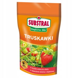 Nawóz do Truskawek i Poziomek Magiczna Siła Substral proszek 350g