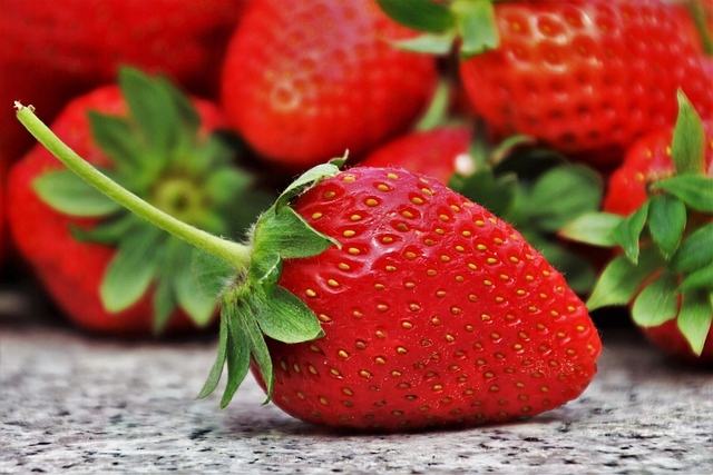 Nawóz do truskawek granulowany Florovit 1kg - obrazek 2